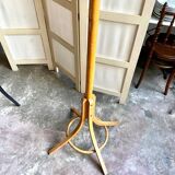 Parrot coat rack with 6 hooks in bent beech