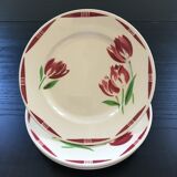 Set of 4 tulip-decorated plates