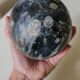Fossil egg