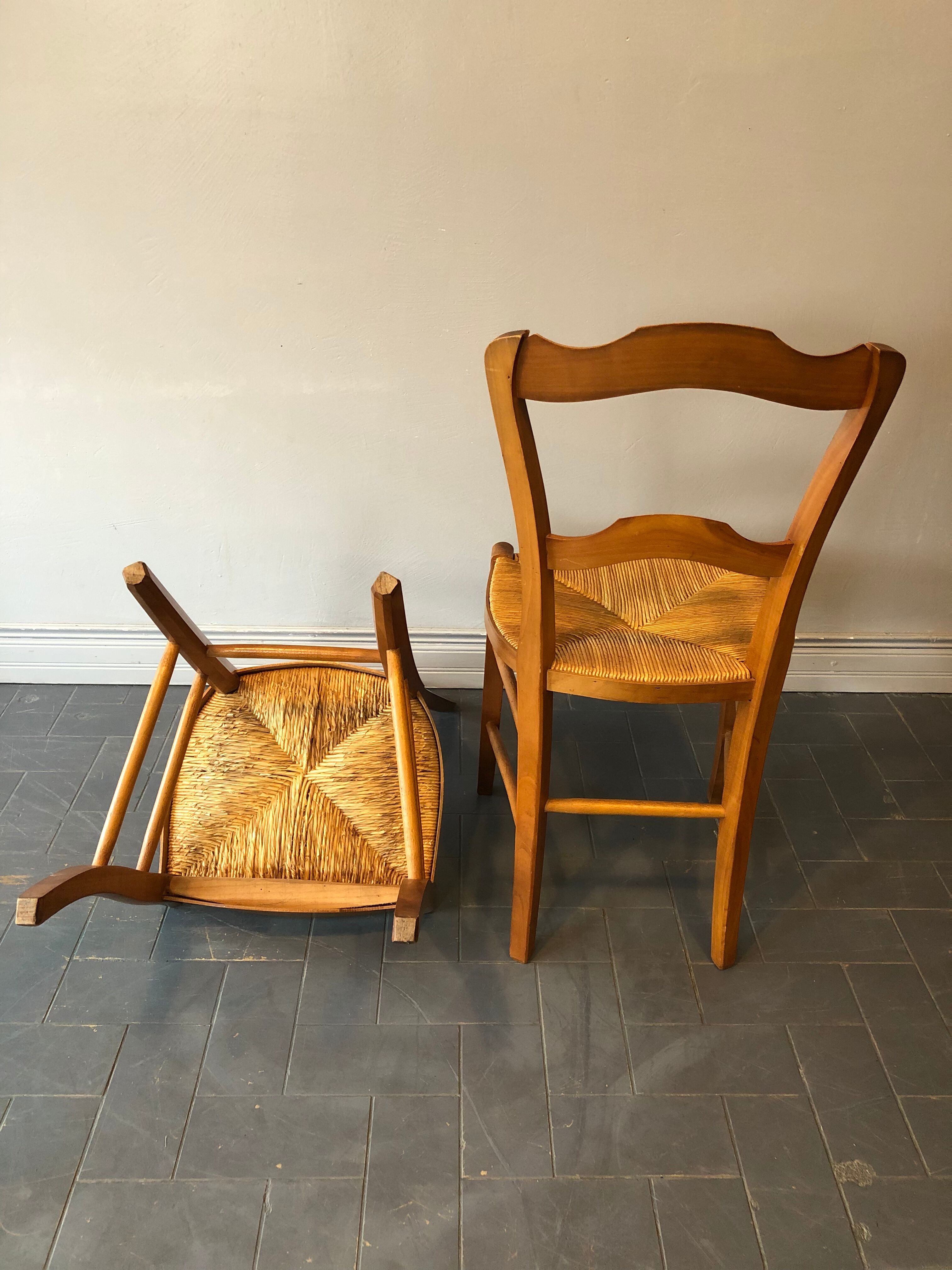 6 old chairs in cherry tree