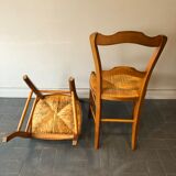 6 old chairs in cherry tree