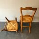 6 old chairs in cherry tree