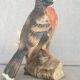 Matte porcelain bird sculpture from Milan by Eda Mann, American Blackbird