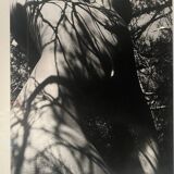 Lucien Clergue (1934-2014) - Nu dans la forêt 1973 Tirage Original Numéroté