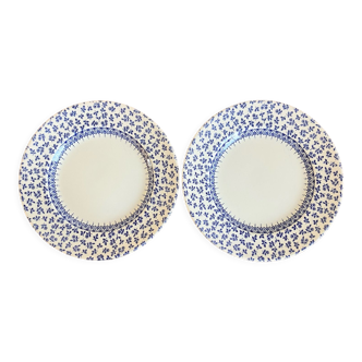 2 EIT English porcelain dessert plates