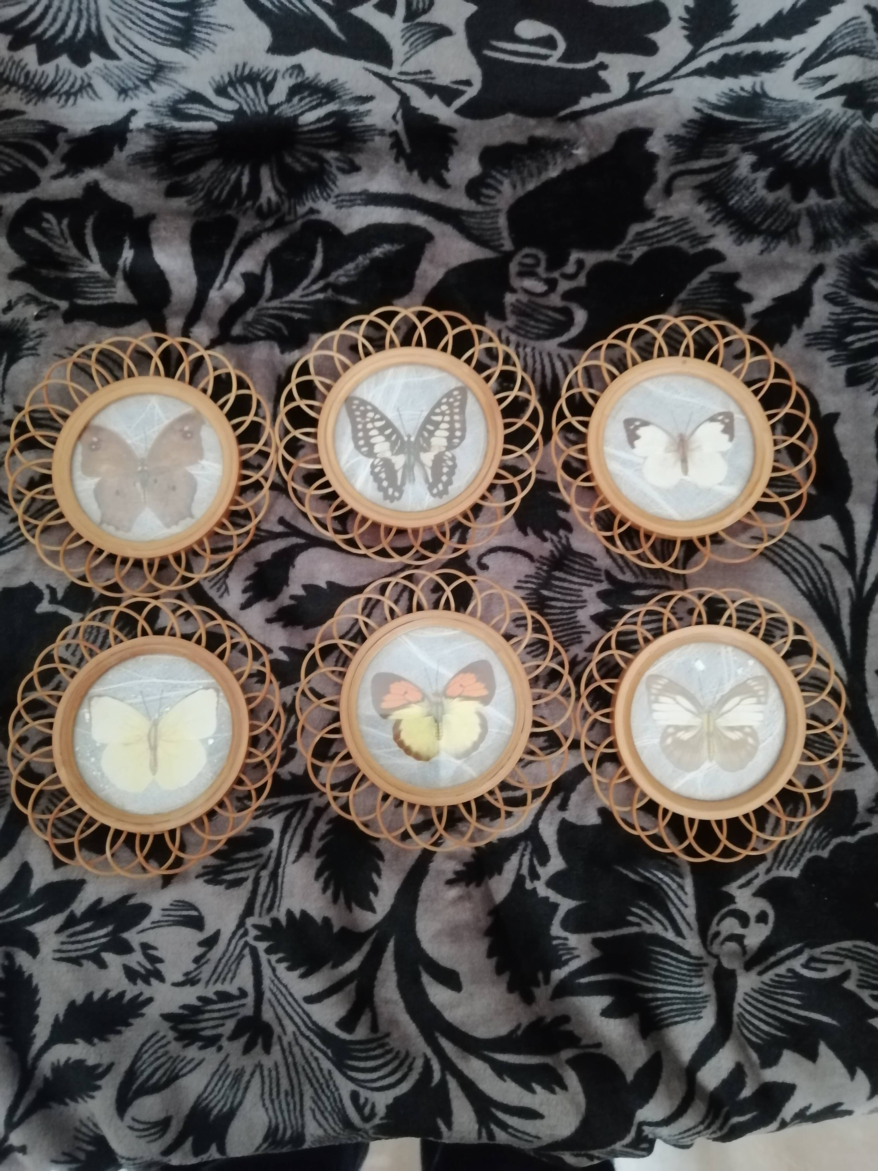 6 coasters in wooden wicker and butterfly background