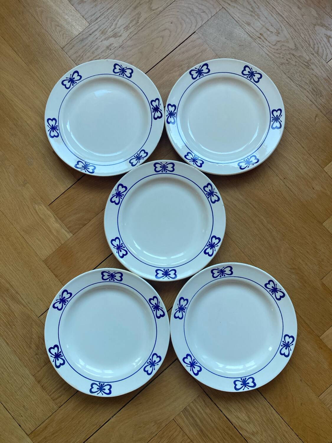 Blue butterfly patterned dinner plates