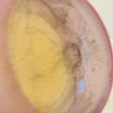 Ambiente Zwiesel Vase