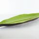 Leaf cut ceramic palm Lunéville 1980