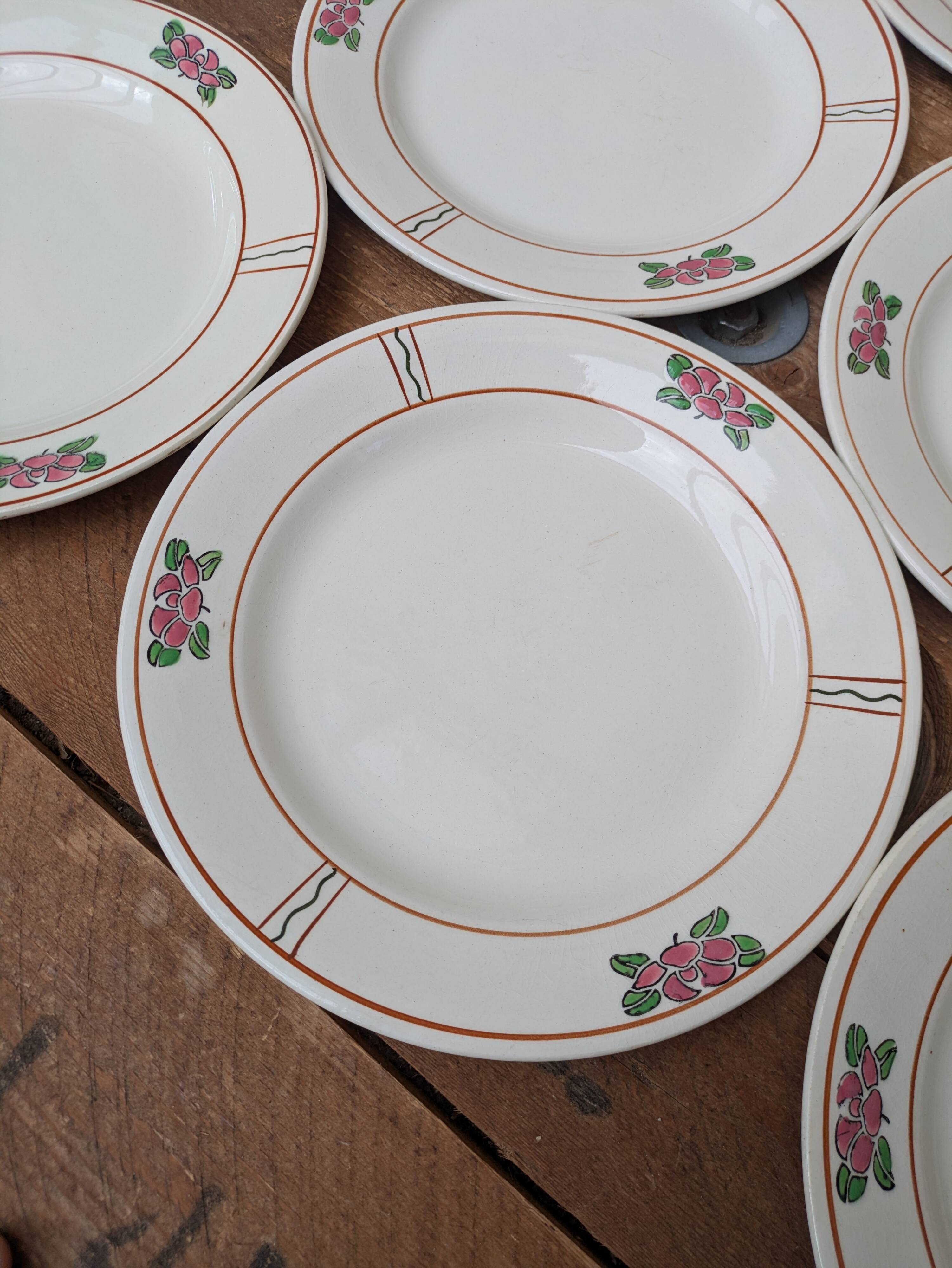 9 old flat plates in Salins ironstone model Nénuphar 24.5cm