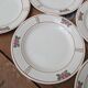 9 old flat plates in Salins ironstone model Nénuphar 24.5cm