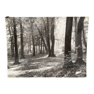 Photo argentique Bernard Darot