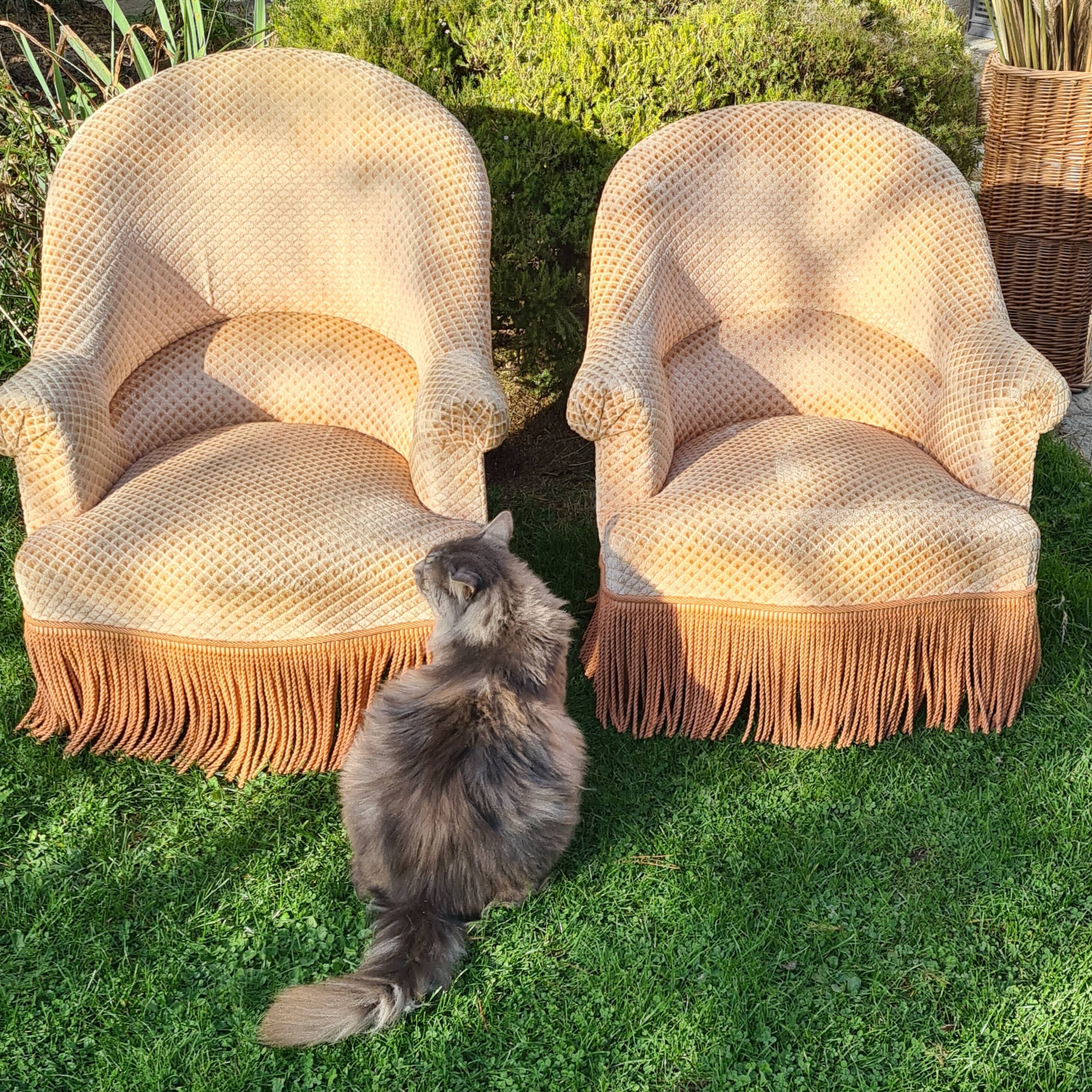 Pair of toad chairs and 1 ottoman