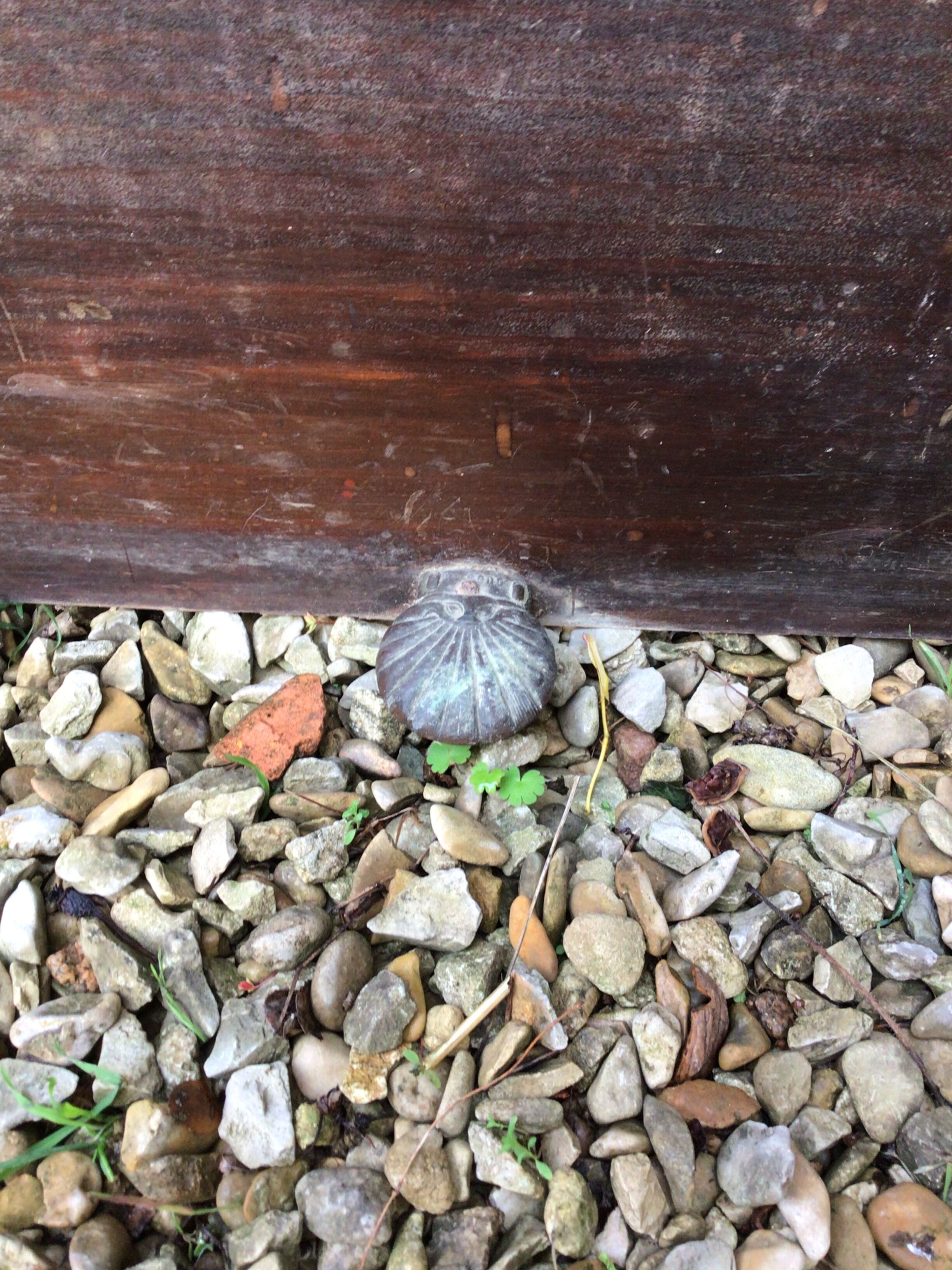 Wooden fireplace mantle