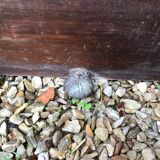 Wooden fireplace mantle