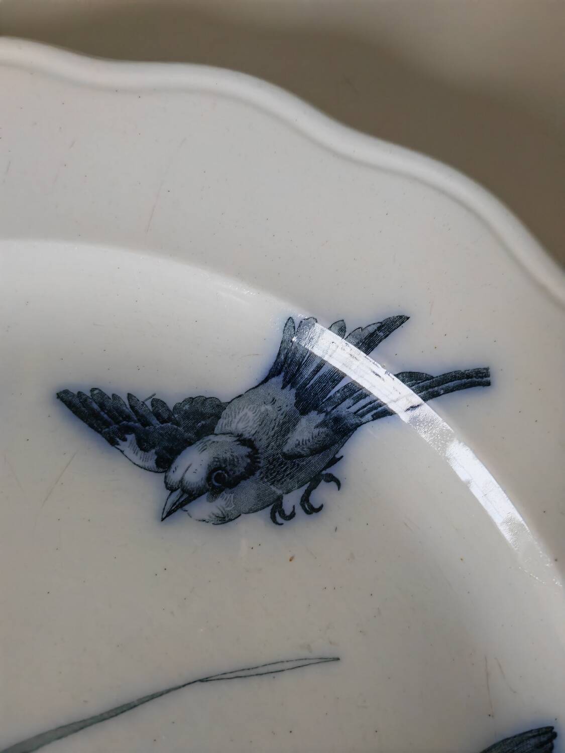 19th century dish bwm&co