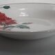 9 hollow plates Luxeuil HBCM flowers and foliage