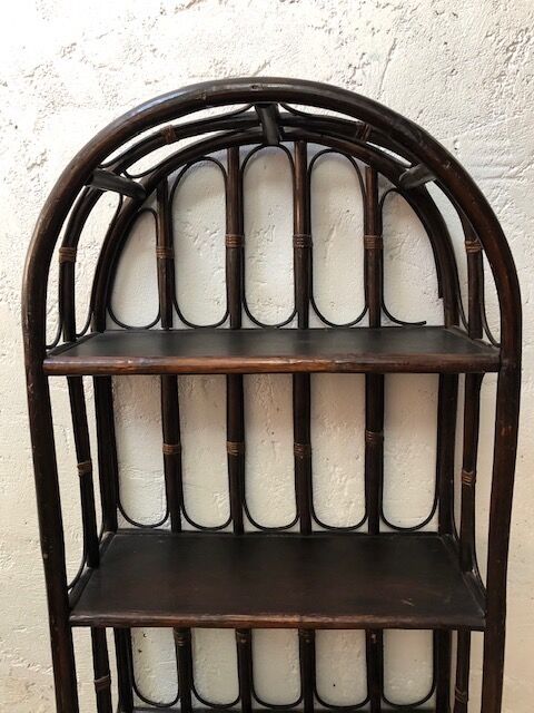Bamboo and rattan library