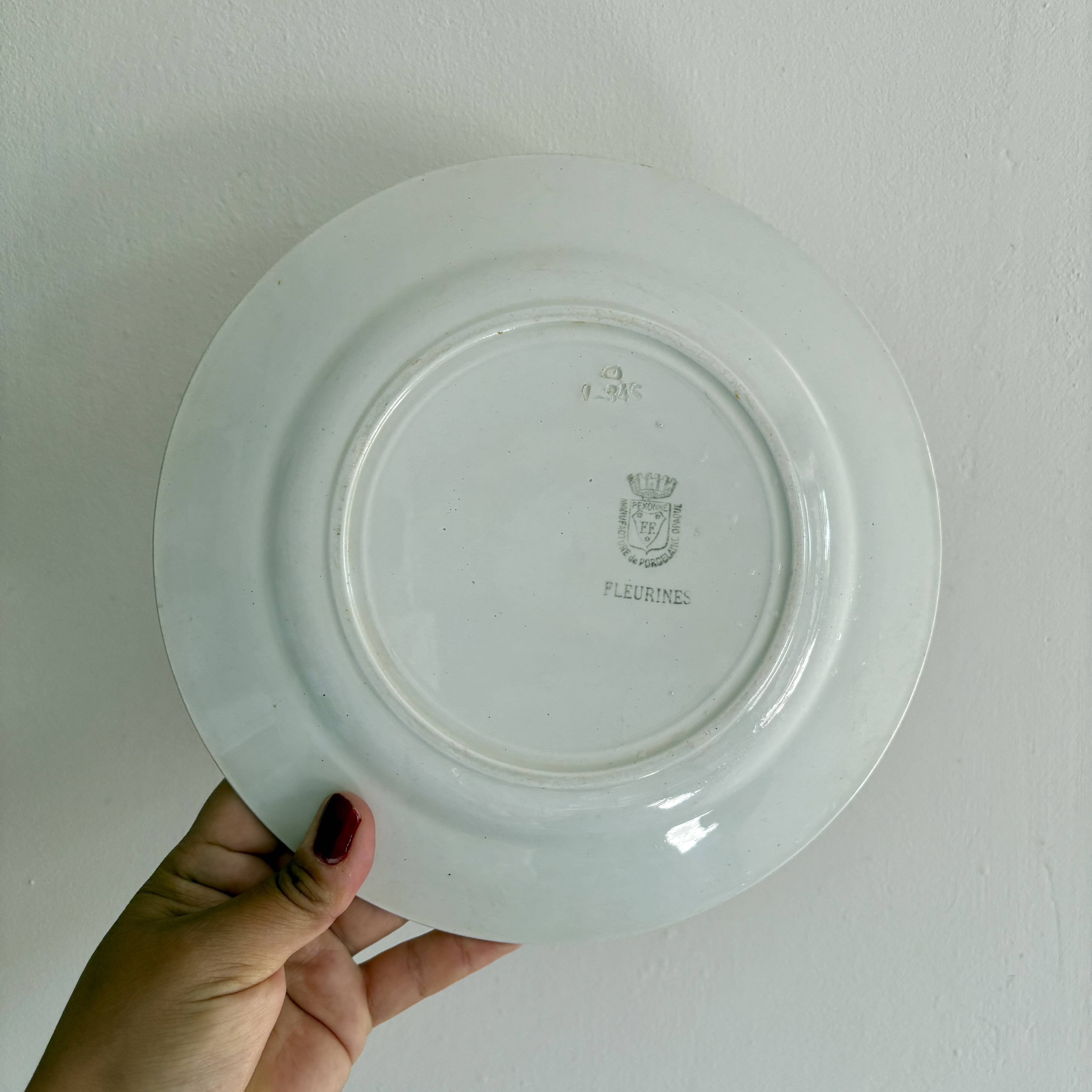 Set of 10 mismatched antique dinner plates