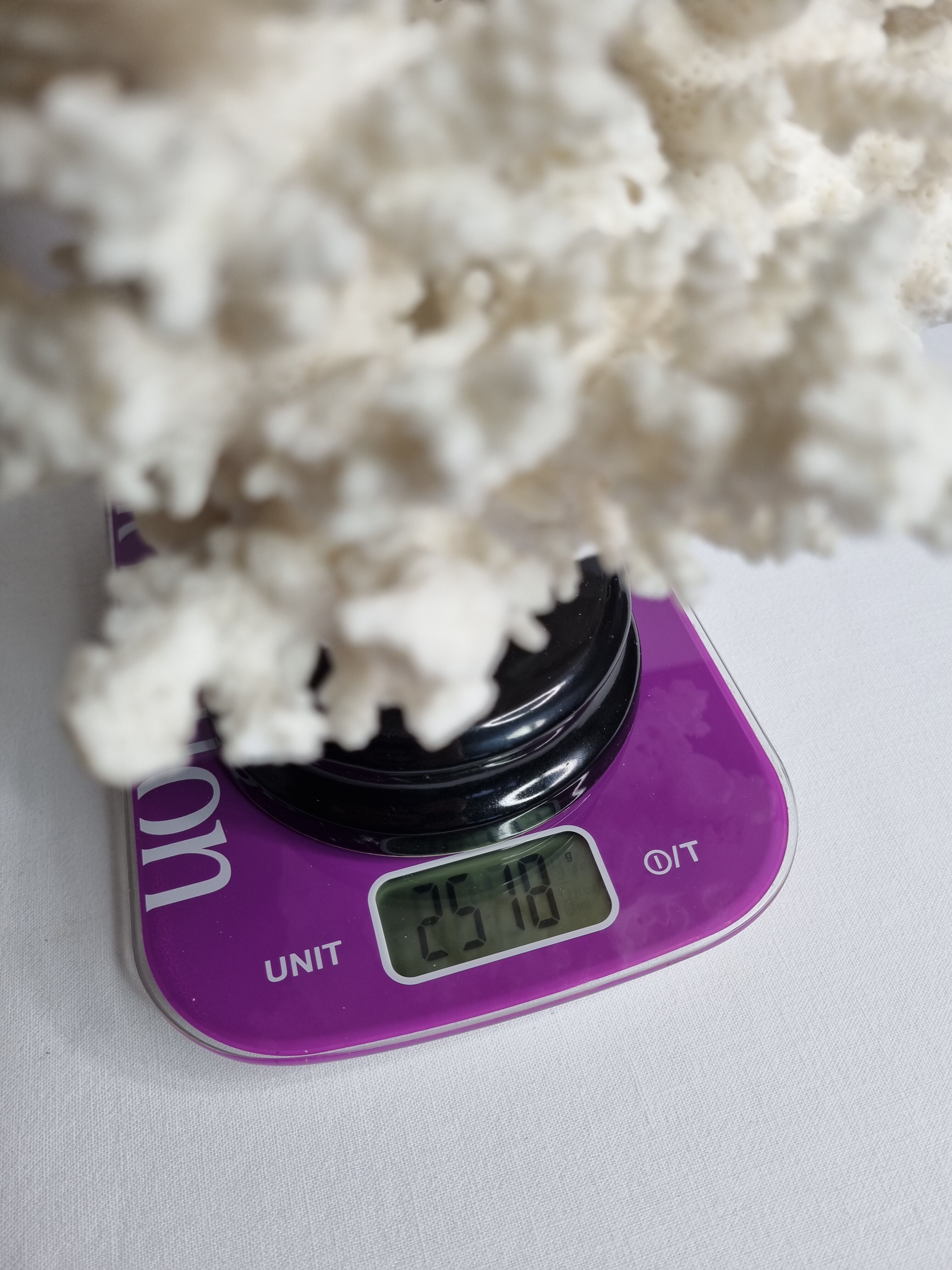 Old white coral in branches on base, 32 cm