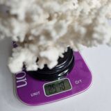 Old white coral in branches on base, 32 cm