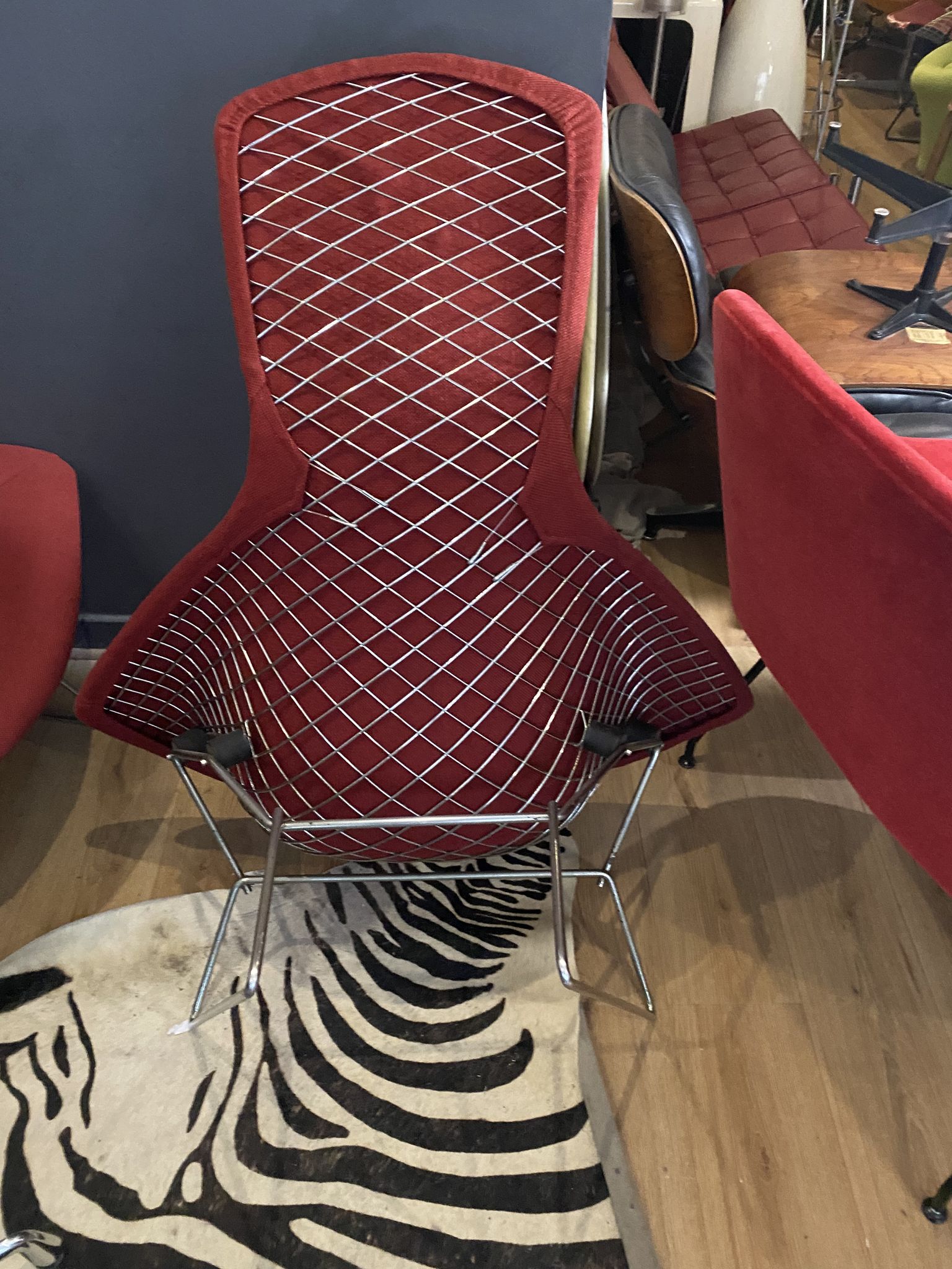 Fauteuil Bertoia Bird édition Knoll 1970