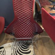 Fauteuil Bertoia Bird édition Knoll 1970