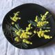 Plate Vallauris mimosas by Giraud