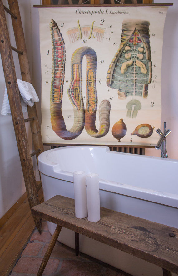 Displays the beginning of the 20th century vintage Paul Pfurtscheller "worm"