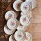 Set of 12 vintage flat plates - Fleurette by Gien