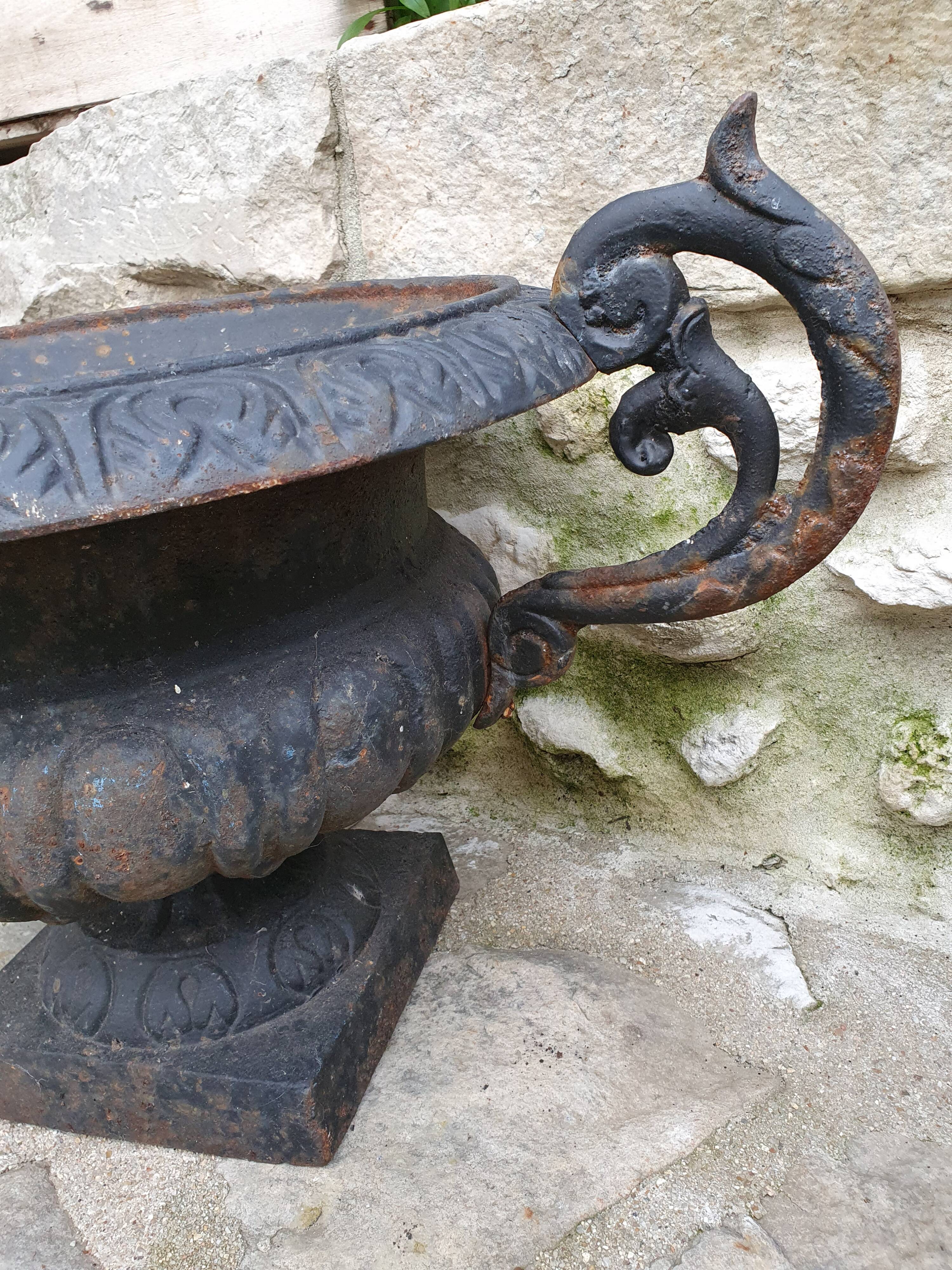 Pair of cast iron medicis
