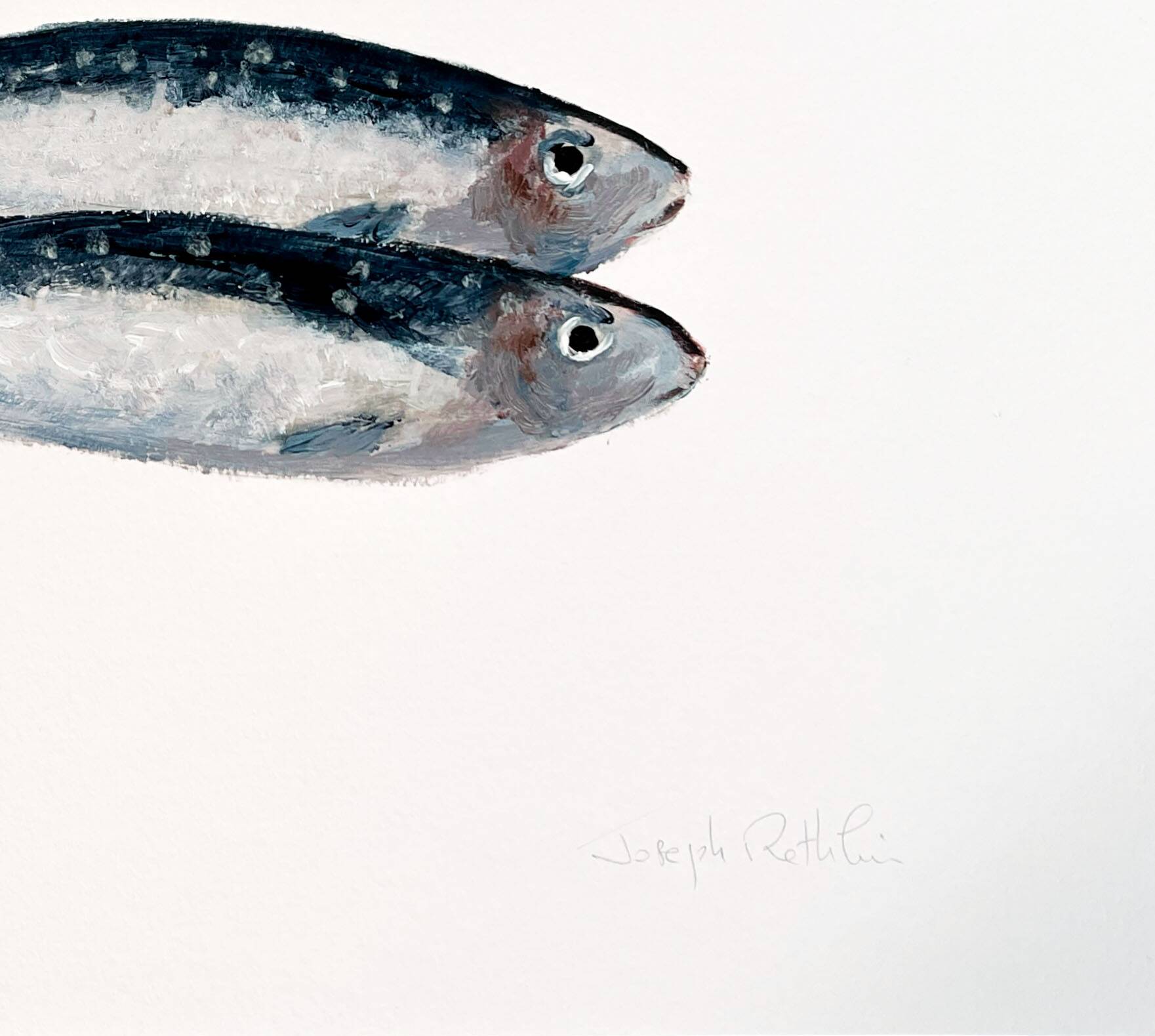 "2 sardines" par Joseph Rethlin