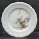 Set of 4 dessert plates Seltmann Weiden Bavaria Collection Marie-Luise