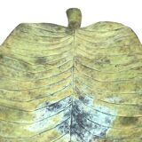 Leaf shaped centerpiece, France 1970s