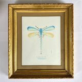 Cadre libellule bleue