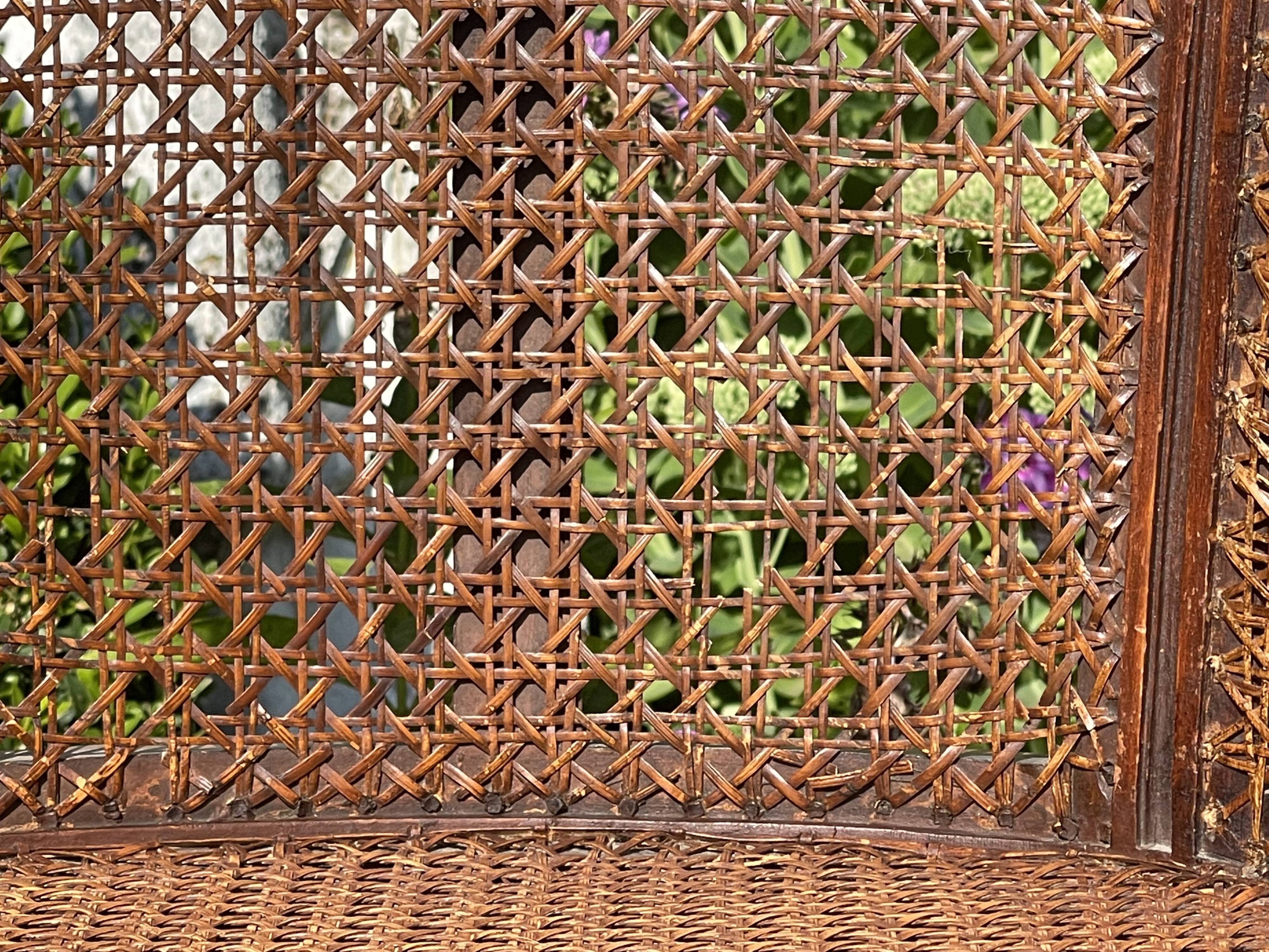 Armchair in Fruit Wood and Cannage Style Louis XVI