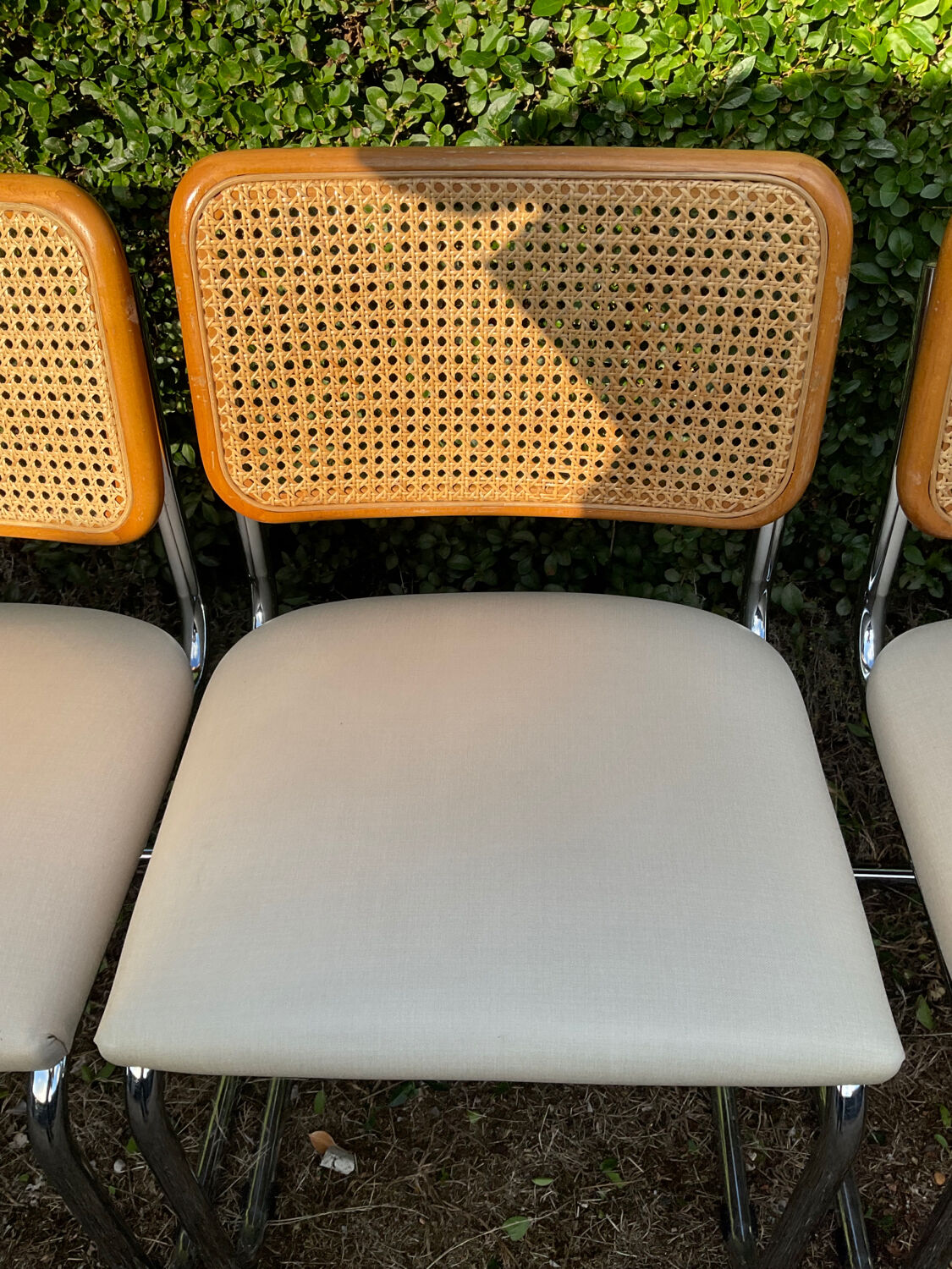 Series of 6 chairs Marcel Breuer Cesca B32