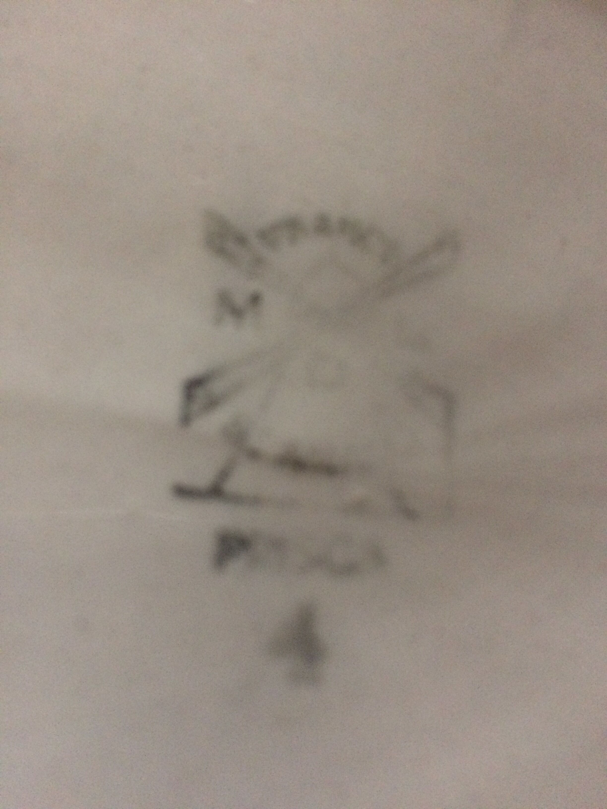 long hollow plate in earthenware Mill of Wolves model Prisca