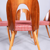 Four restored mid-century chairs, antonin suman, beech, walnut, czechia, 1950s