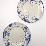 Duo d'assiettes D24cm Empire Works Stoke on Trent série "Zephyr”