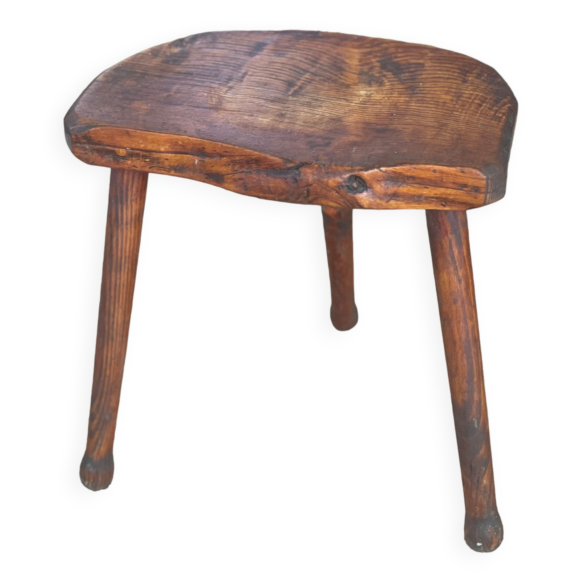 Oak cowbird stool