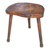 Oak cowbird stool