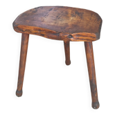 Oak cowbird stool