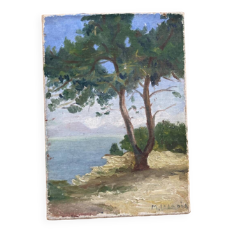 Oil on canvas pine umbrella