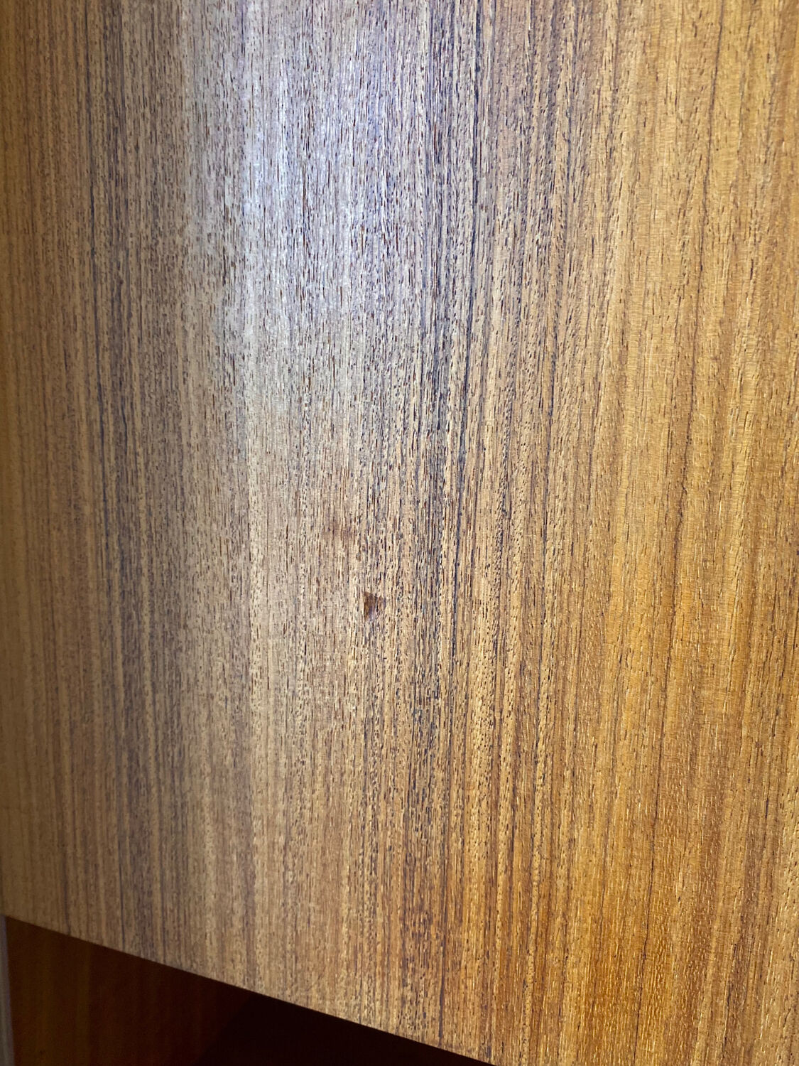 Wall unit / bookcase Italian Luigi Bartolini 1960