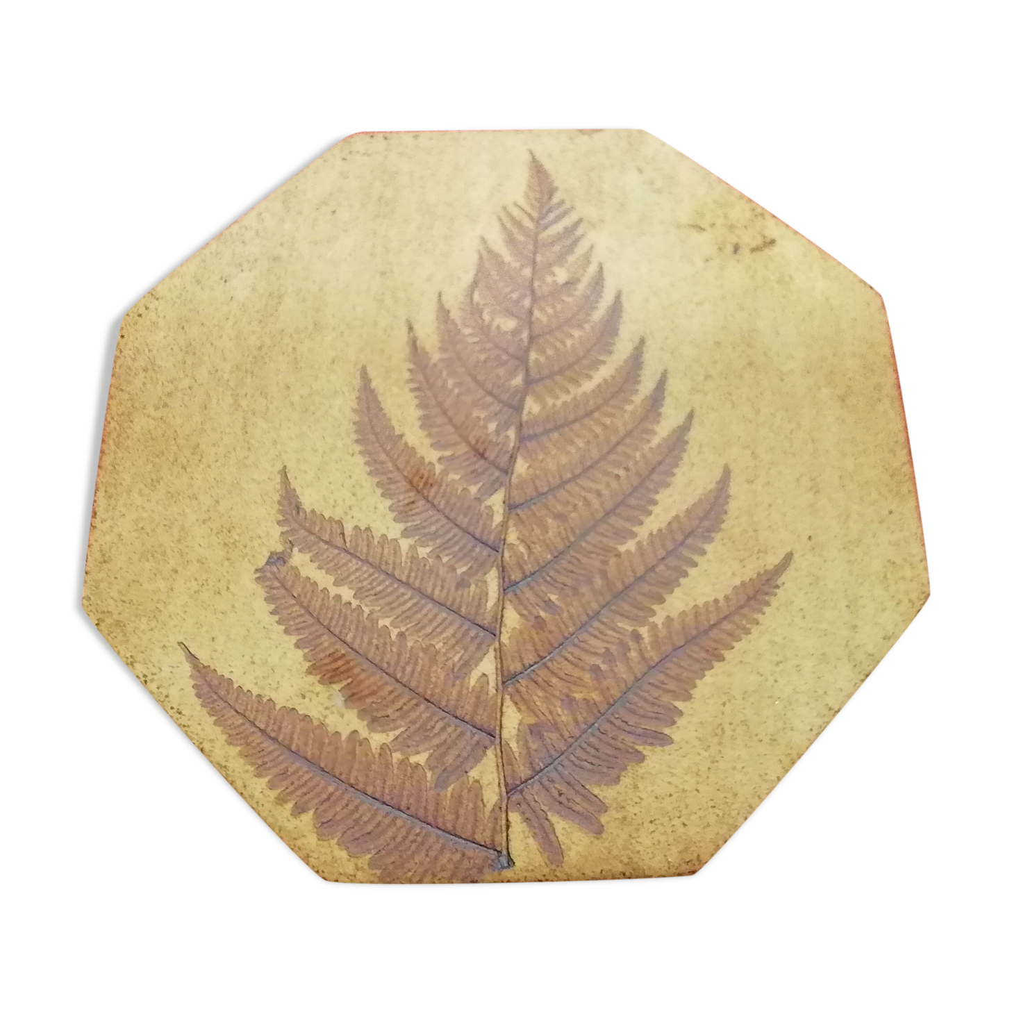 Vallauris flat pose Sylvette Gilbert