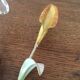 Pair of sconces in metal and glass