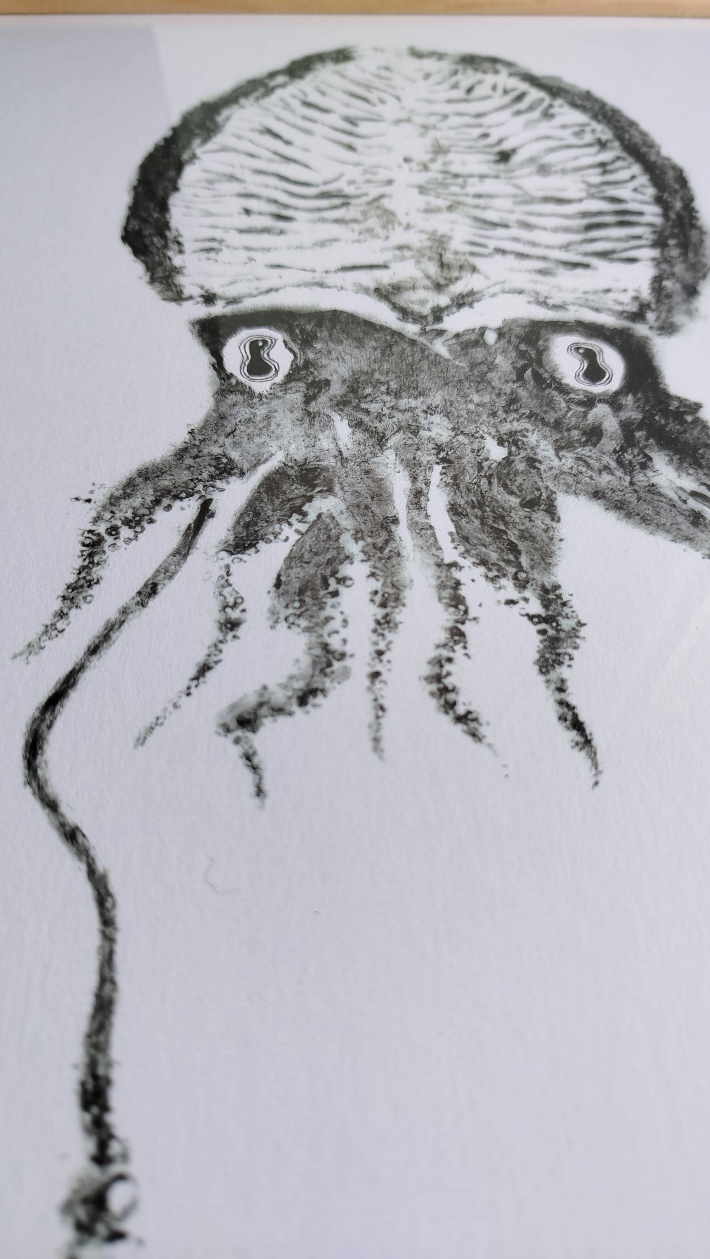 Impression d'art encadrée, "Gyotaku d'une seiche"
