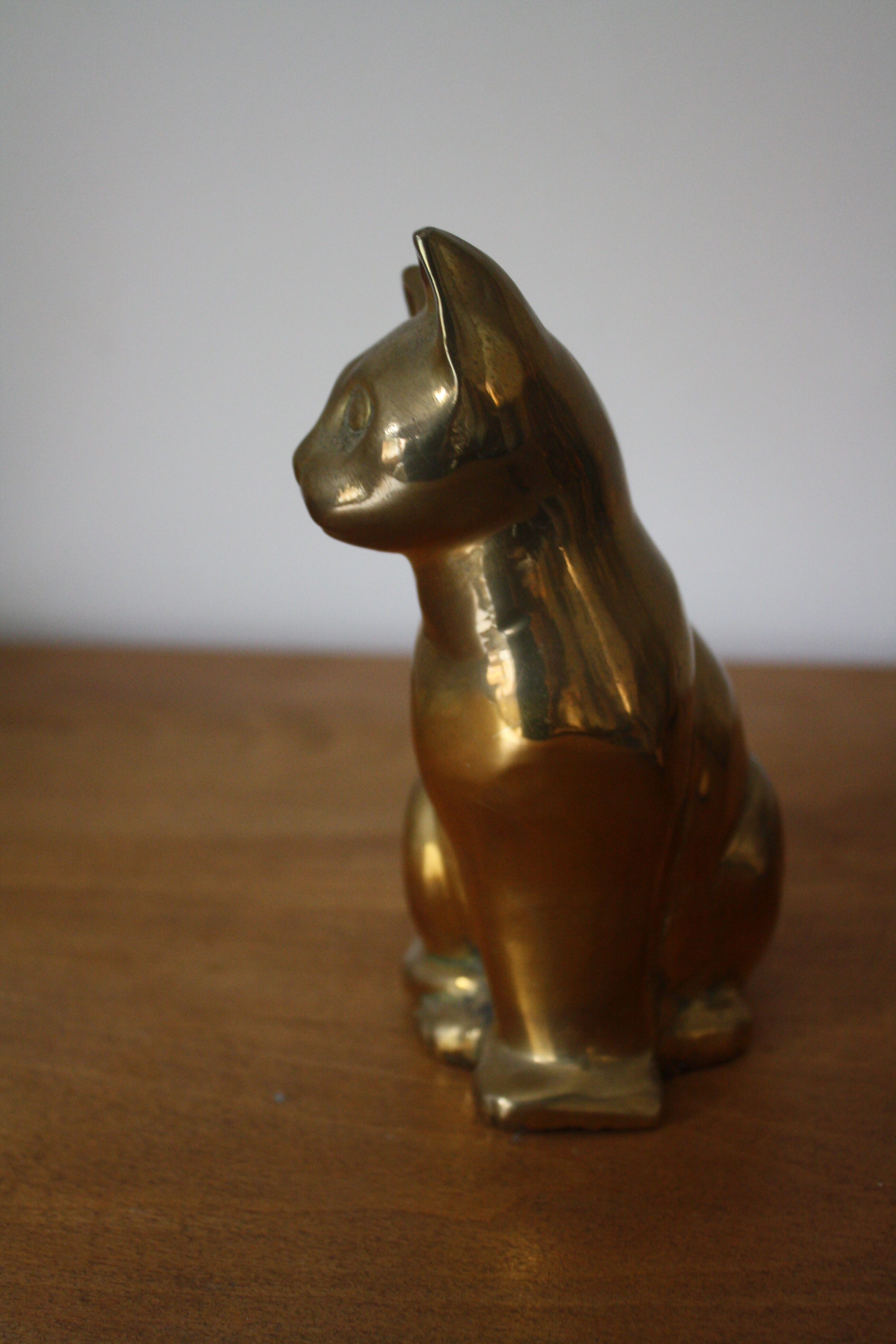 Cat sitting in brass