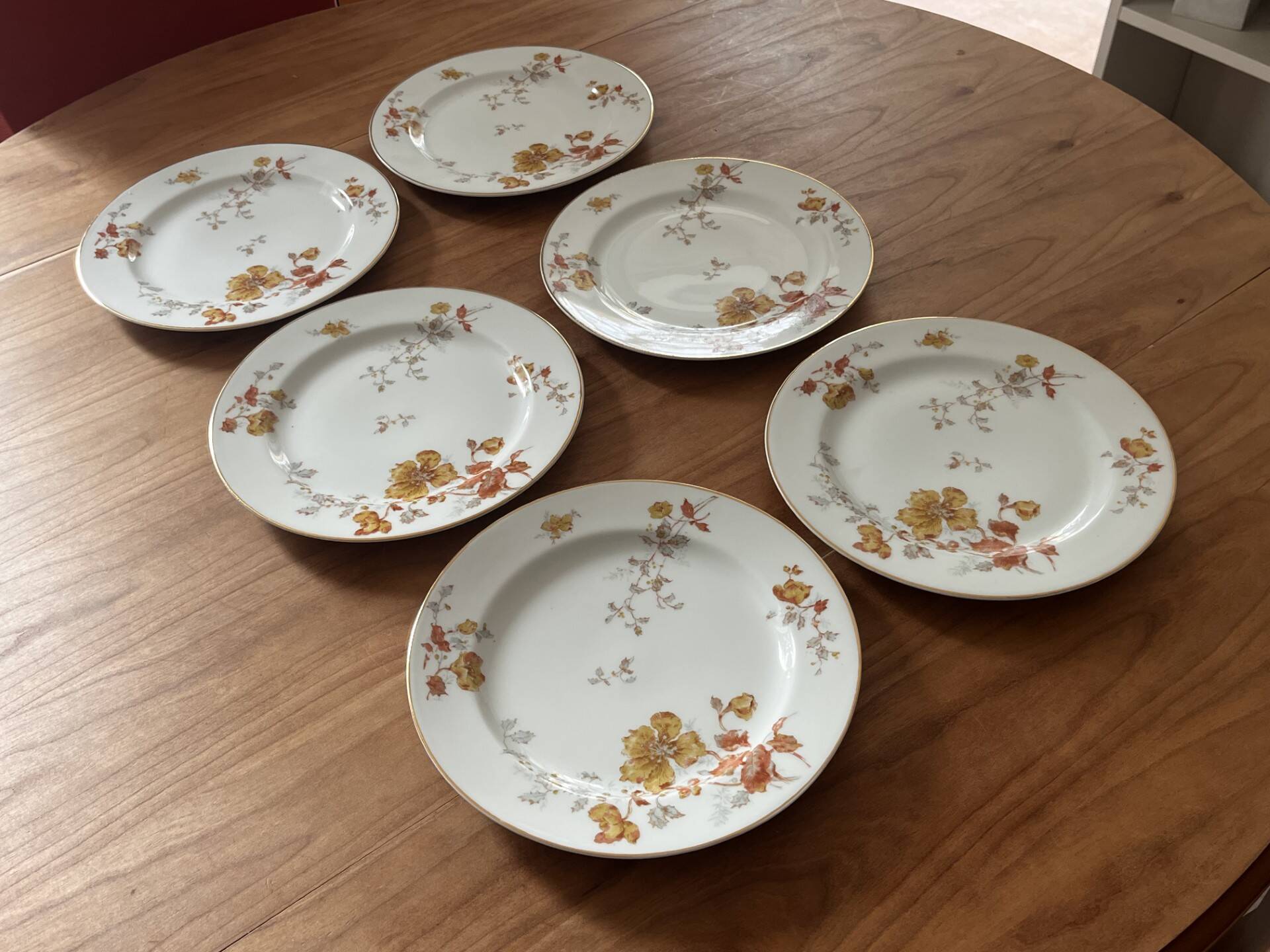 Set of 6 antique plates
